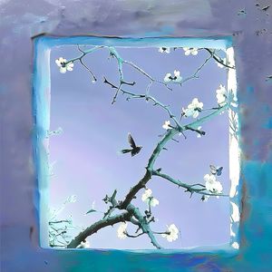 大鸡巴猛插妹妹小洞到高潮跌起
